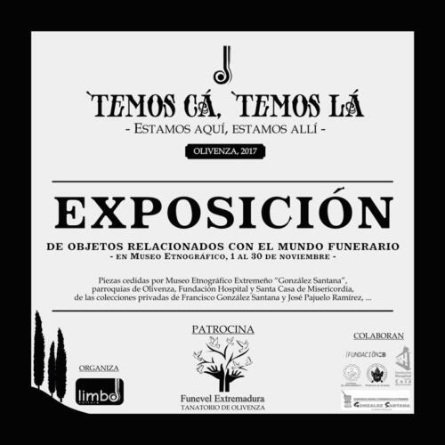 Exposición- web