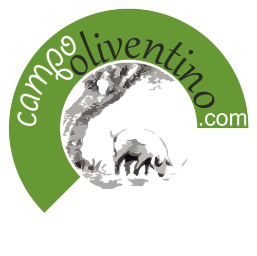 Campooliventino- logotipo